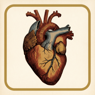 Health